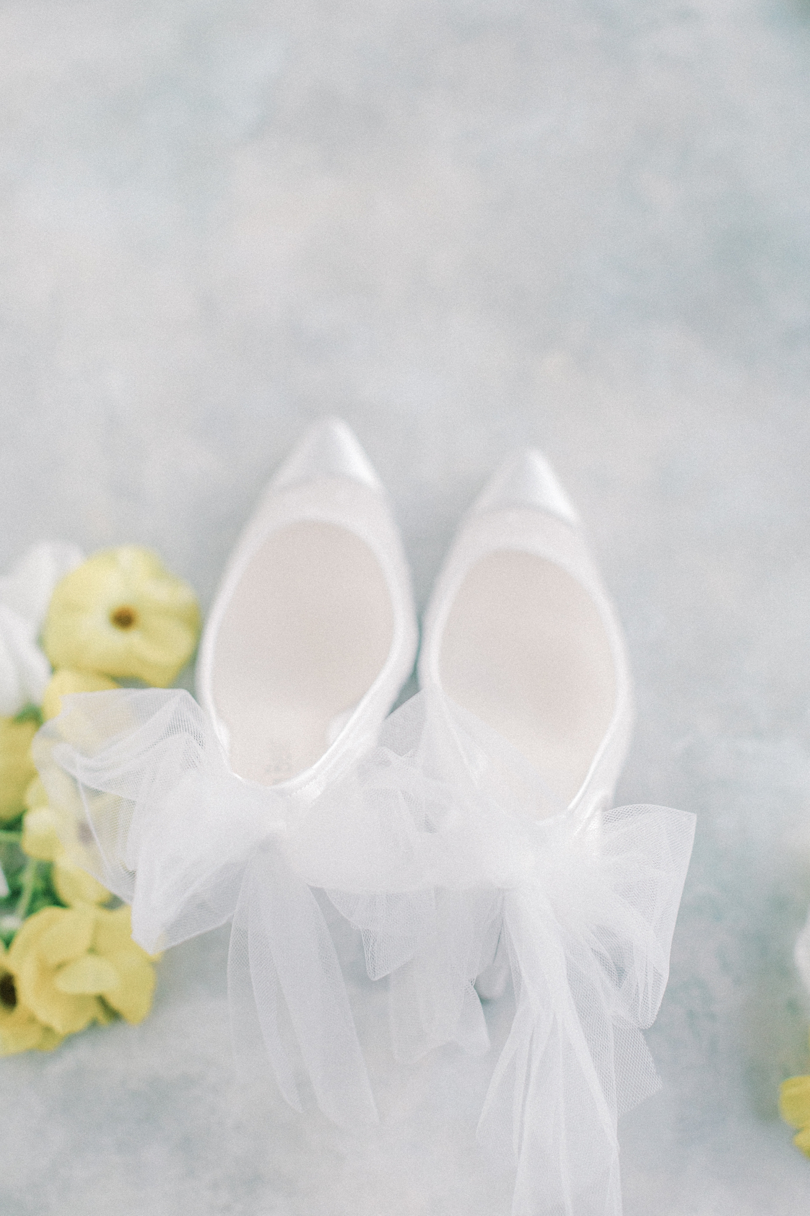 Bella Belle Shoes with Tulle Bow