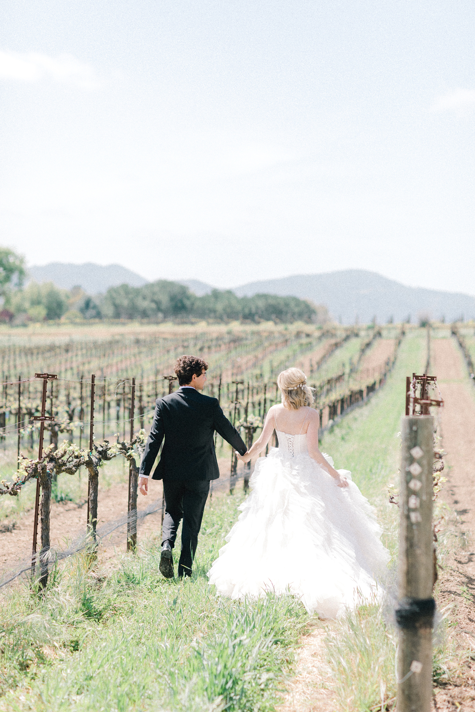 Vineyard Wedding in California